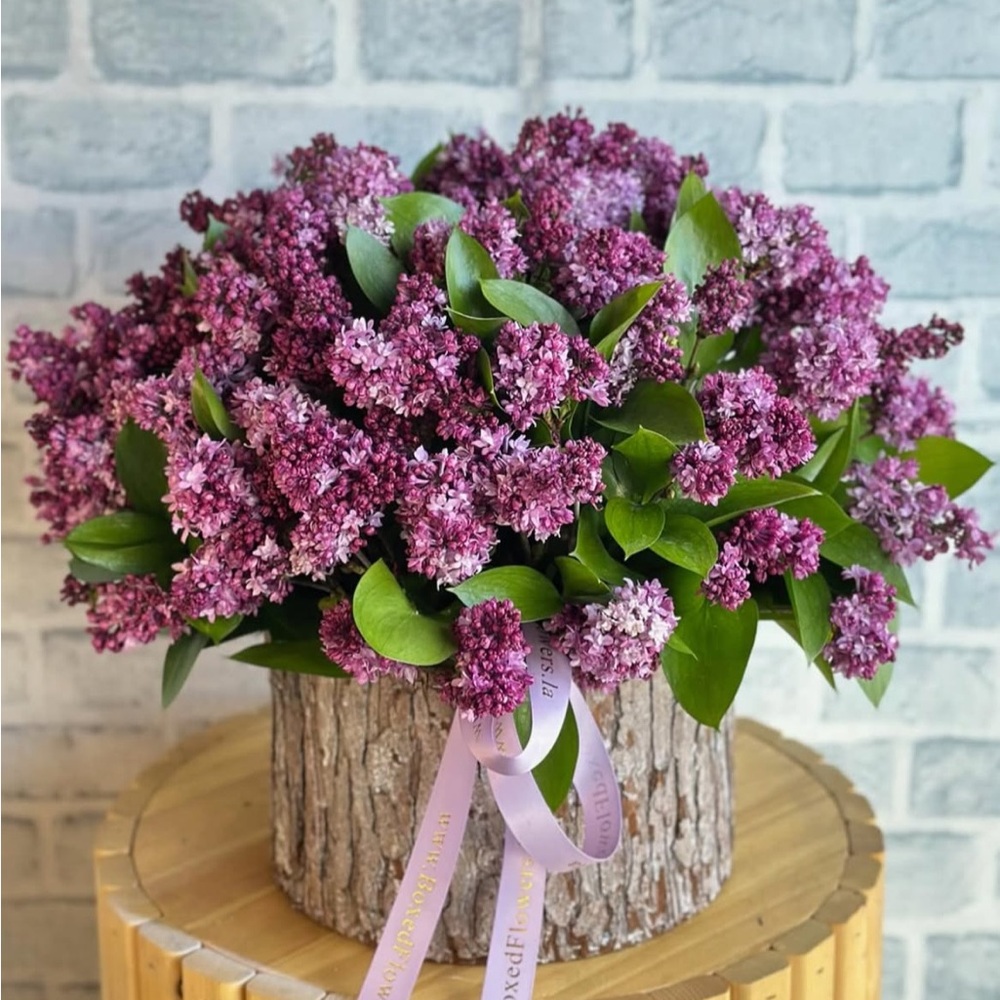 Meet your Posher, Astrik